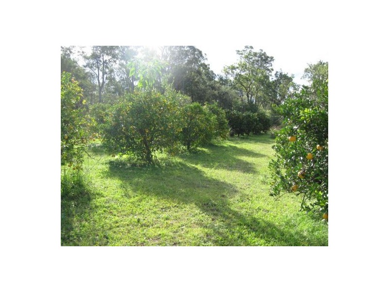 17 BUSHY DRIVE, Tabulam NSW 2469