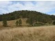 Lot 19 / 1252 Tabulam Road, Tabulam NSW 2469