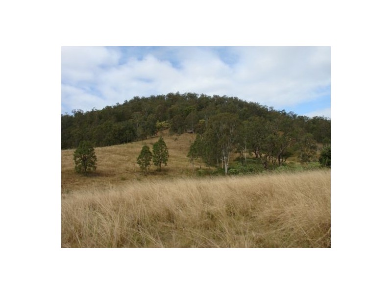 Lot 19 / 1252 Tabulam Road, Tabulam NSW 2469