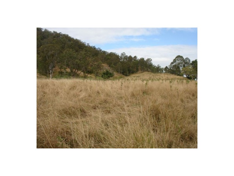 Lot 19 / 1252 Tabulam Road, Tabulam NSW 2469