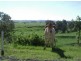 Lot 19 / 1252 Tabulam Road, Tabulam NSW 2469