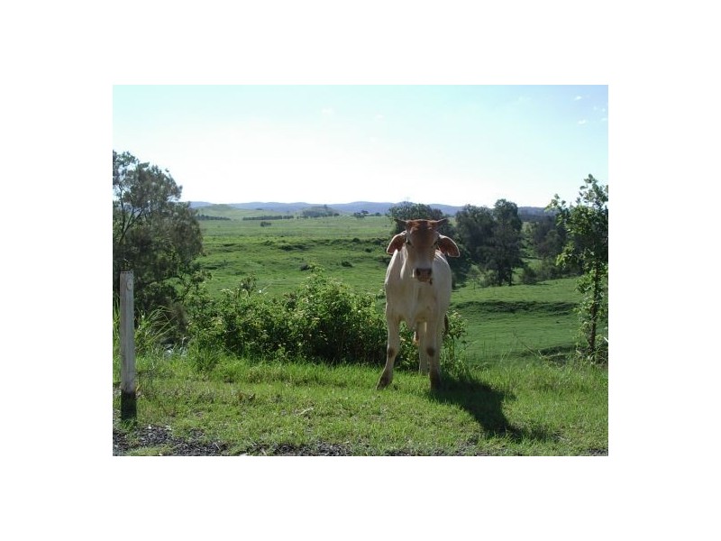 Lot 18 / 1252 Tabulam Road, Tabulam NSW 2469