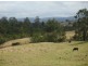 Lot 18 / 1252 Tabulam Road, Tabulam NSW 2469