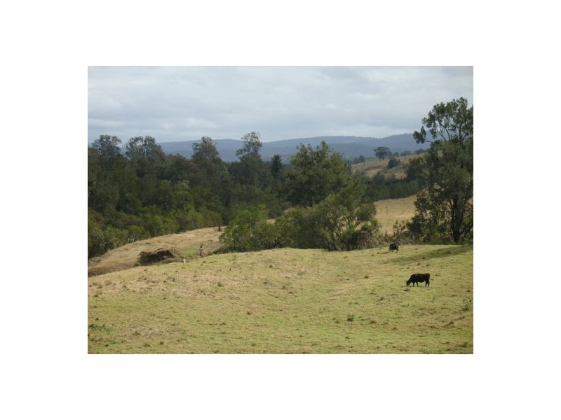 Lot 18 / 1252 Tabulam Road, Tabulam NSW 2469