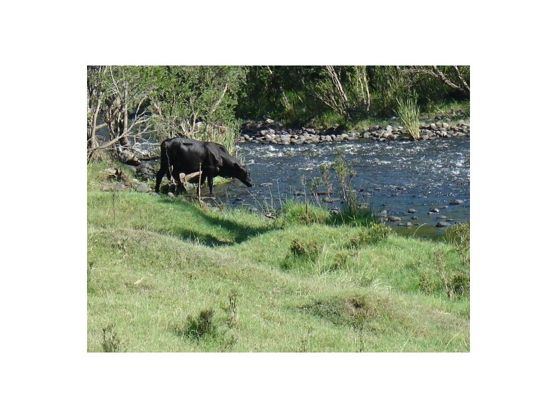 Lot 18 / 1252 Tabulam Road, Tabulam NSW 2469