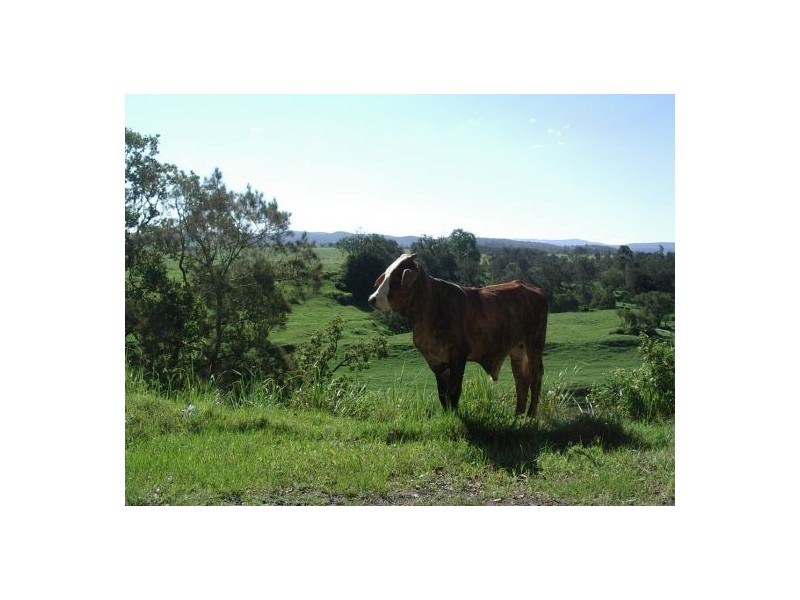 Lot 18 / 1252 Tabulam Road, Tabulam NSW 2469