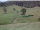 Lot 14 / 1252 Tabulam Road, Tabulam NSW 2469