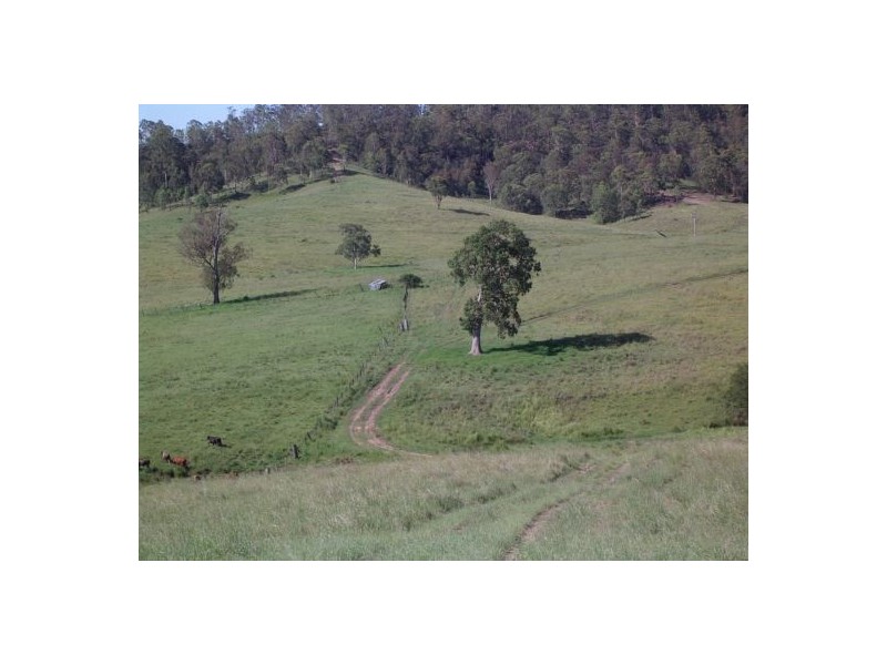 Lot 14 / 1252 Tabulam Road, Tabulam NSW 2469