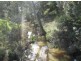 Lot 16 / 1252 Tabulam Road, Tabulam NSW 2469