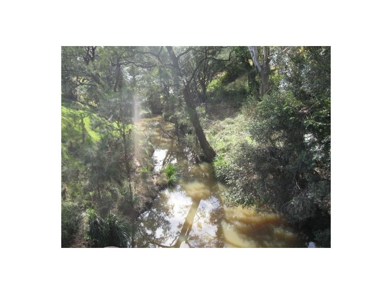 Lot 16 / 1252 Tabulam Road, Tabulam NSW 2469