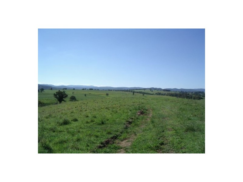 Lot 16 / 1252 Tabulam Road, Tabulam NSW 2469