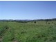 Lot 16 / 1252 Tabulam Road, Tabulam NSW 2469