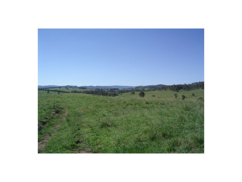 Lot 16 / 1252 Tabulam Road, Tabulam NSW 2469