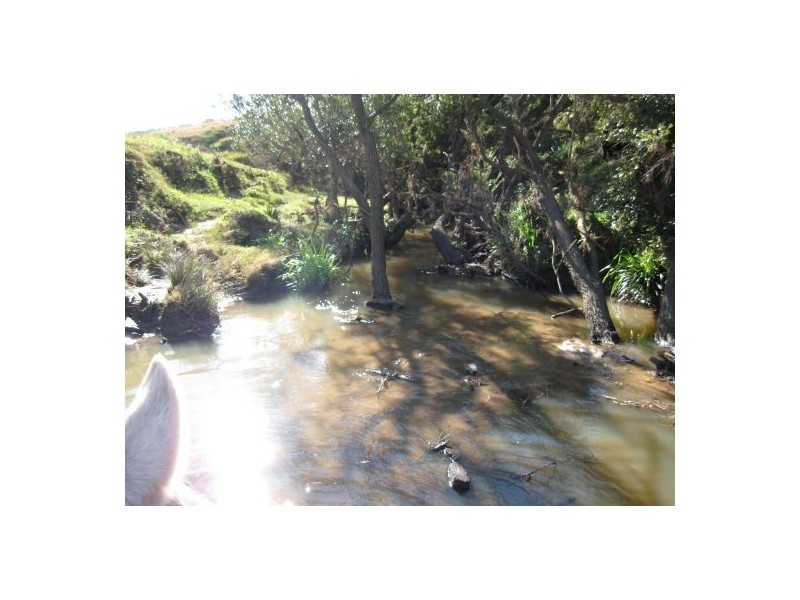Lot 16 / 1252 Tabulam Road, Tabulam NSW 2469