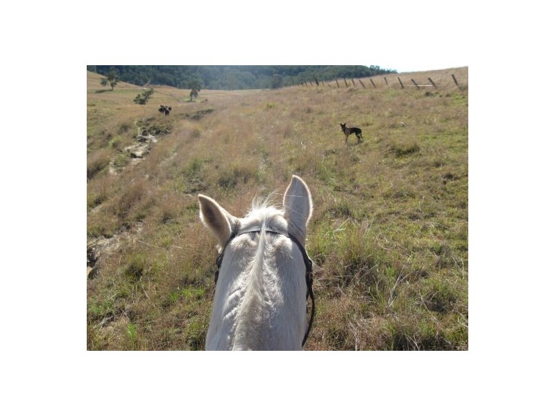 Lot 16 / 1252 Tabulam Road, Tabulam NSW 2469