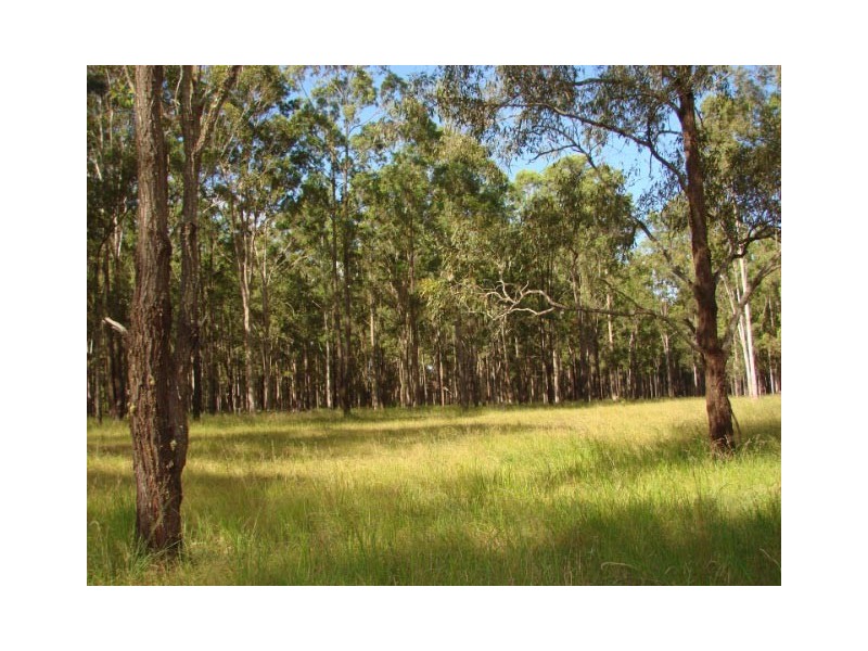 Ellangowan NSW 2470