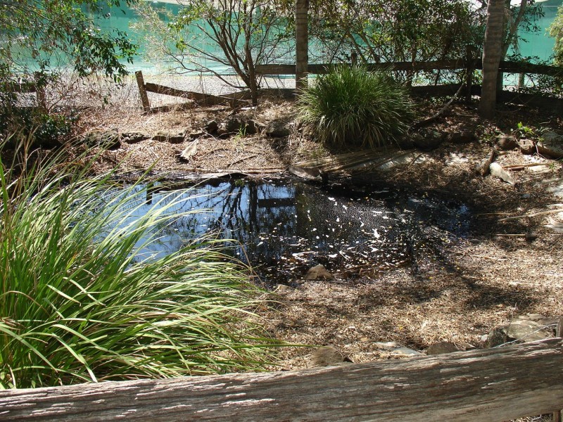 Fairy Hill NSW 2470