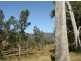 Drake NSW 2469