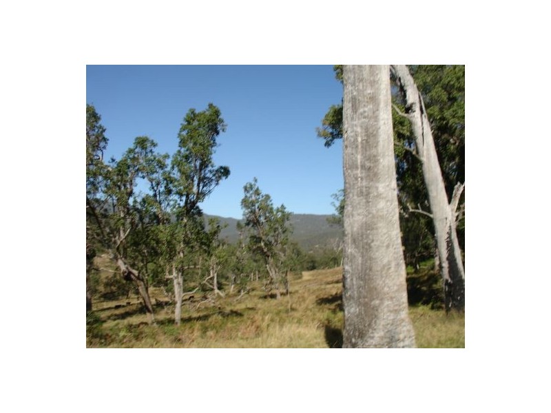 Drake NSW 2469