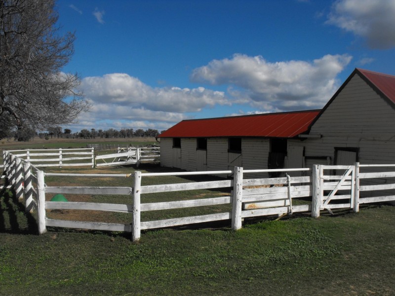 Bonshaw NSW 2361 the real estate agency Withdrawn