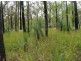387 (Lot 7) Sugarbag Road, Tabulam NSW 2469