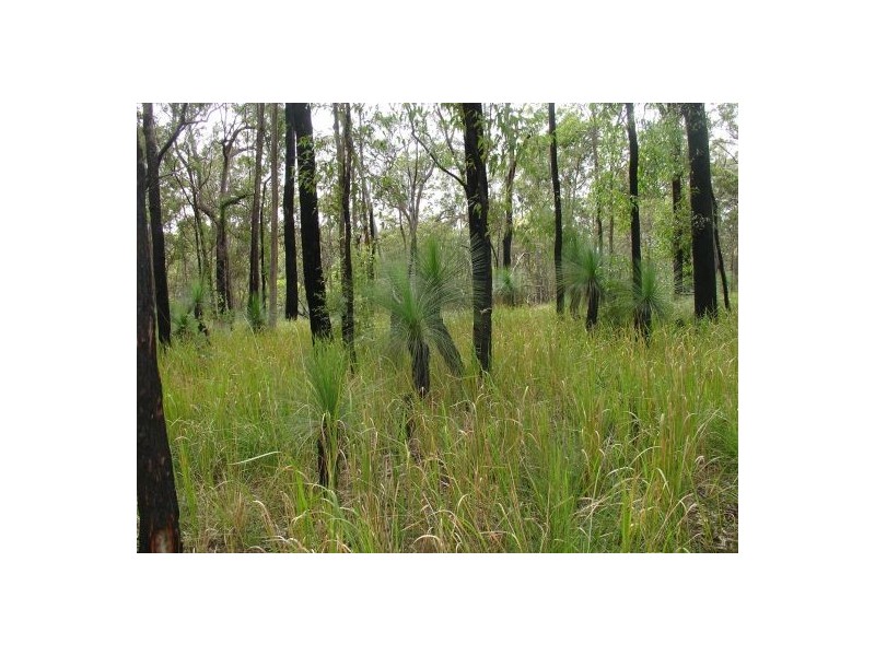 387 (Lot 7) Sugarbag Road, Tabulam NSW 2469