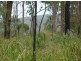 387 (Lot 7) Sugarbag Road, Tabulam NSW 2469