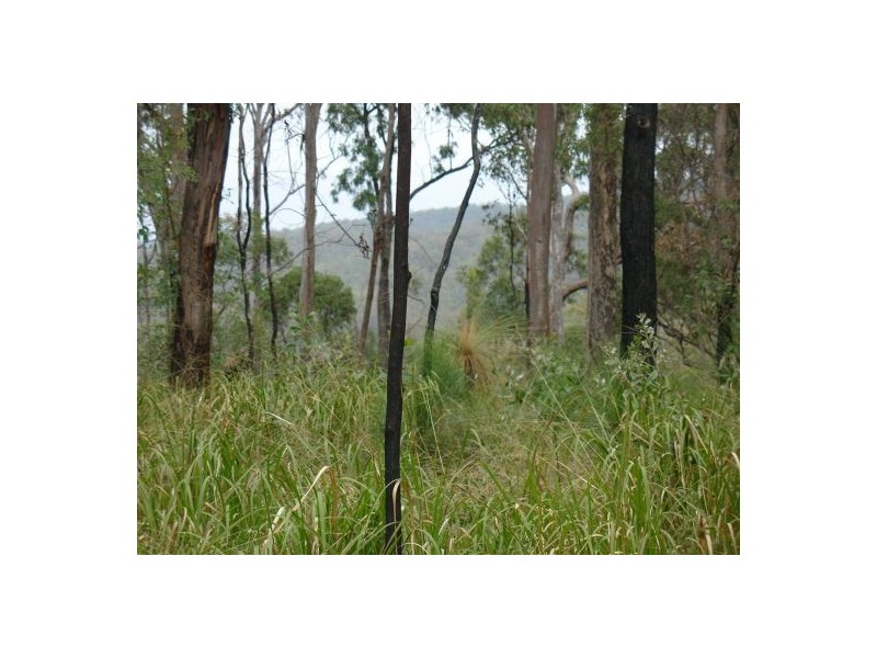 387 (Lot 7) Sugarbag Road, Tabulam NSW 2469