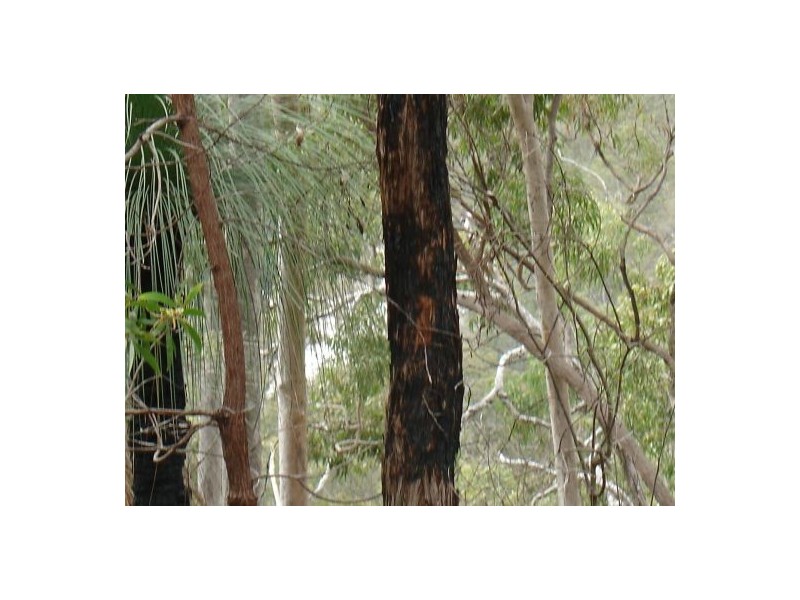 387 (Lot 7) Sugarbag Road, Tabulam NSW 2469