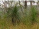 387 (Lot 7) Sugarbag Road, Tabulam NSW 2469