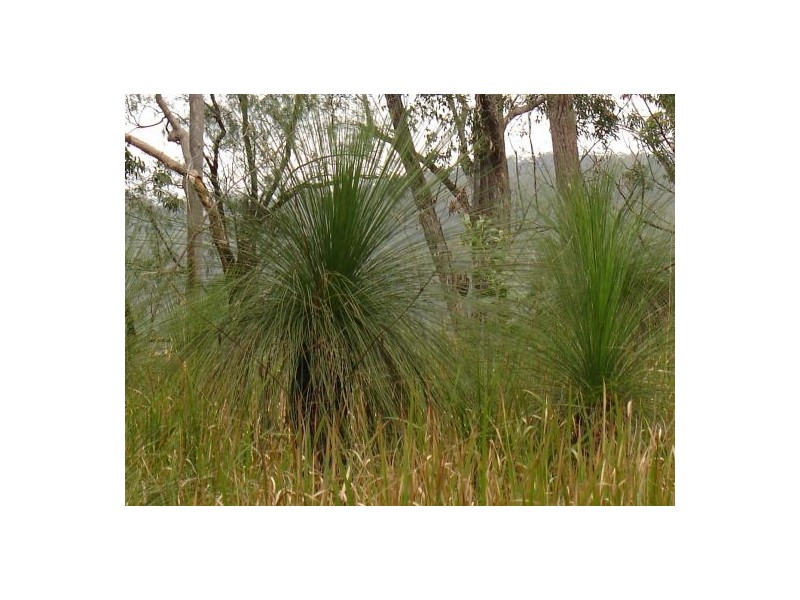 387 (Lot 7) Sugarbag Road, Tabulam NSW 2469