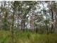 387 (Lot 7) Sugarbag Road, Tabulam NSW 2469