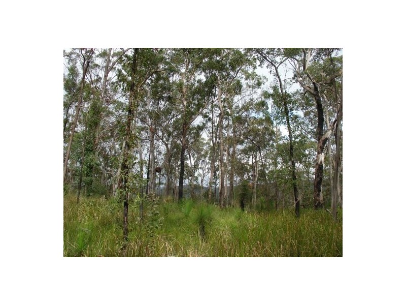 387 (Lot 7) Sugarbag Road, Tabulam NSW 2469