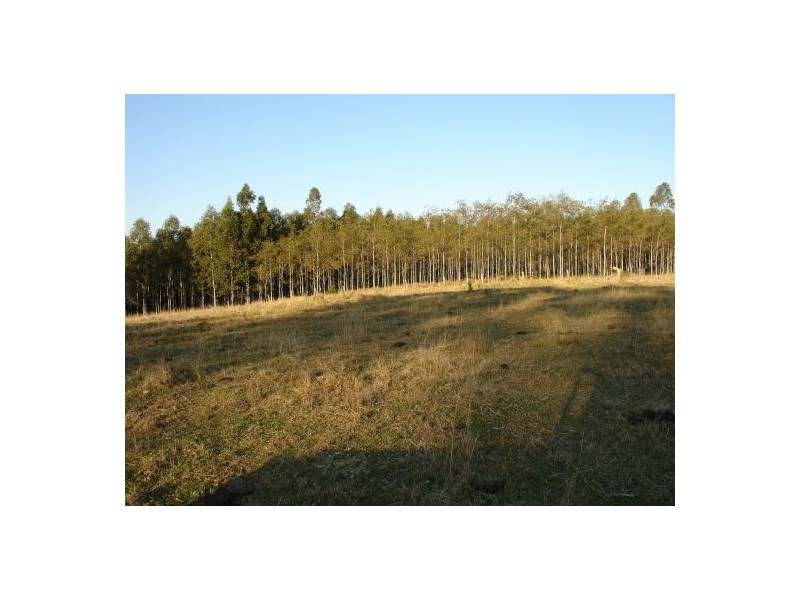 Tabulam NSW 2469