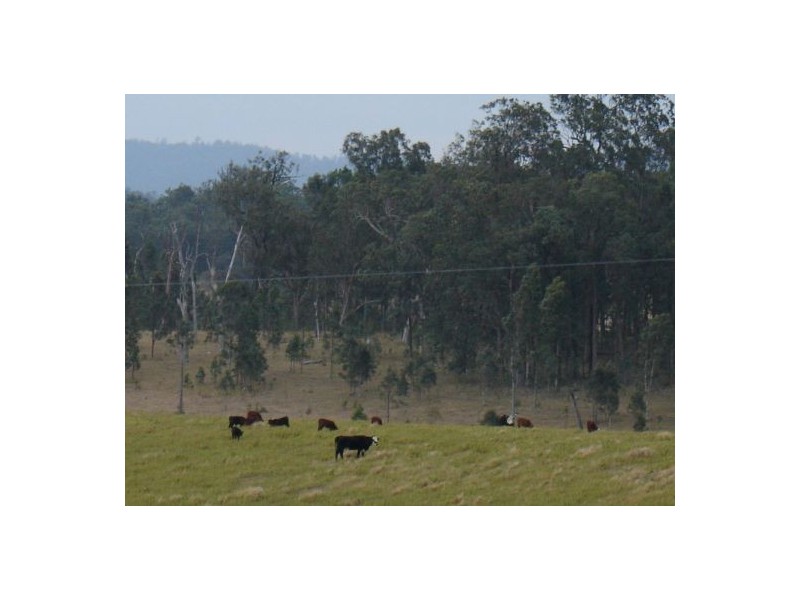1354 Plain Station Rd, Tabulam NSW 2469