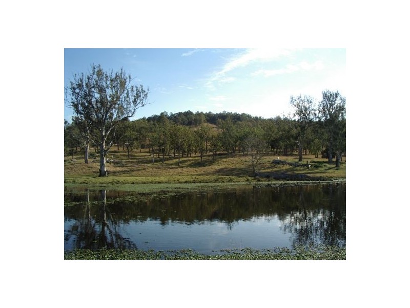 1354 Plain Station Rd, Tabulam NSW 2469