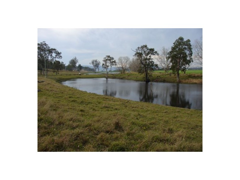 1354 Plain Station Rd, Tabulam NSW 2469