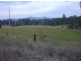 1354 Plain Station Rd, Tabulam NSW 2469