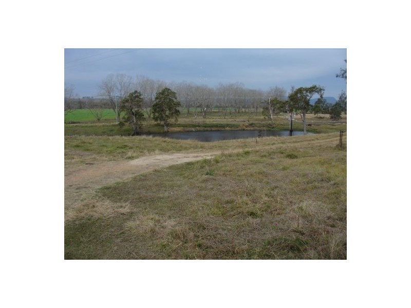 1354 Plain Station Rd, Tabulam NSW 2469