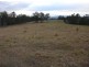 1354 Plain Station Rd, Tabulam NSW 2469