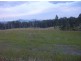 1354 Plain Station Rd, Tabulam NSW 2469