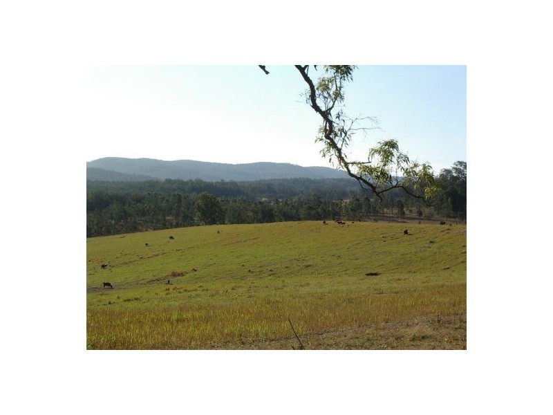 1354 Plain Station Rd, Tabulam NSW 2469