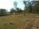 1354 Plain Station Rd, Tabulam NSW 2469