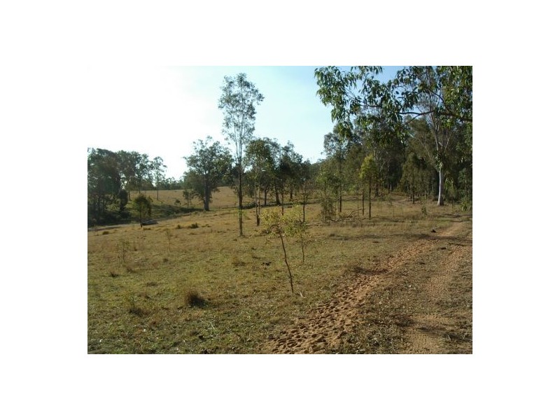 1354 Plain Station Rd, Tabulam NSW 2469