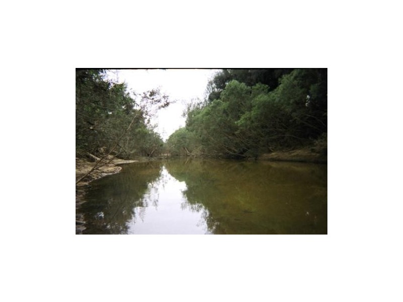 Coutts Crossing NSW 2460