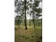 Coutts Crossing NSW 2460