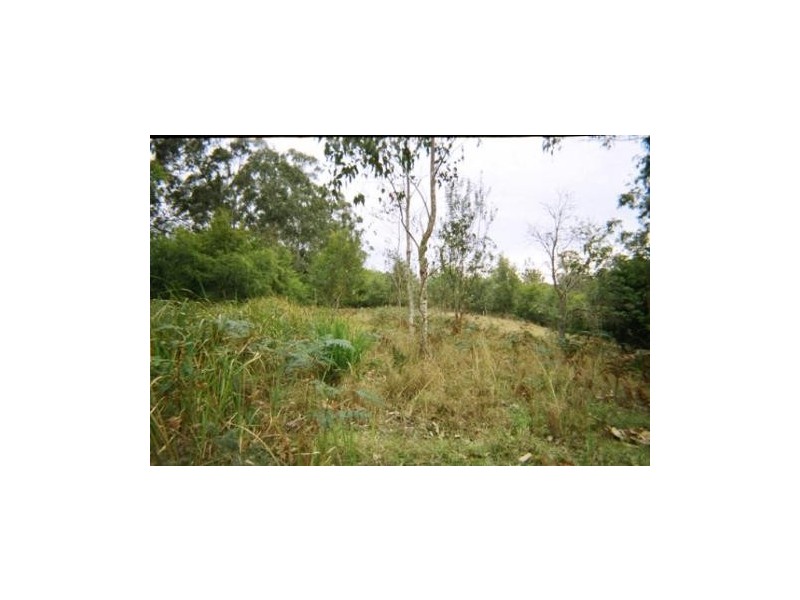 Coutts Crossing NSW 2460