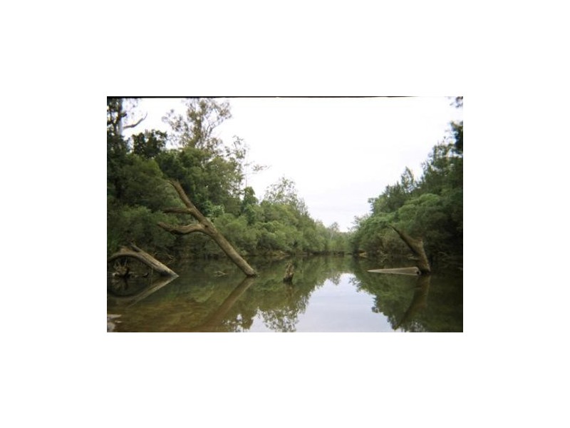 Coutts Crossing NSW 2460