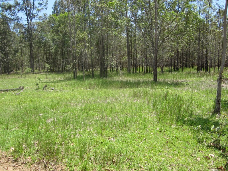 Rappville NSW 2469