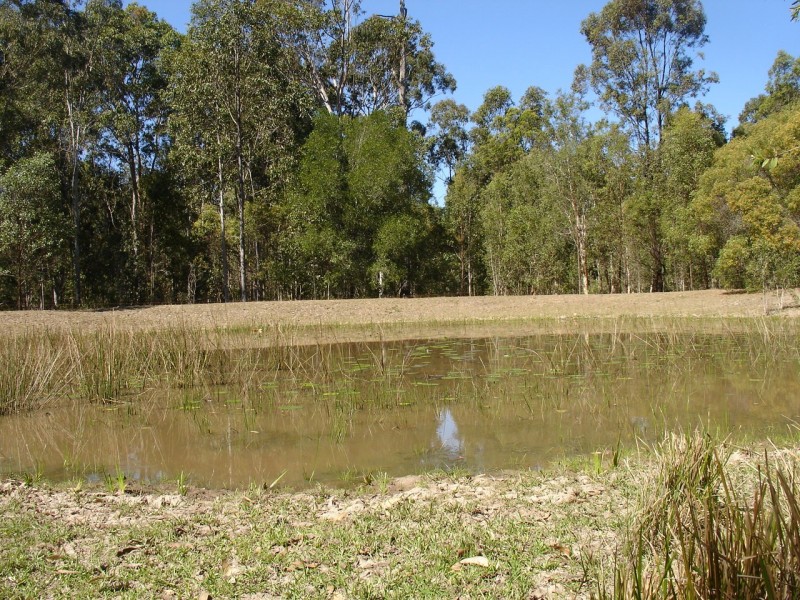 Rappville NSW 2469